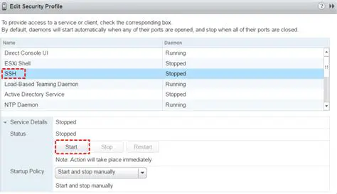 Enable the SSH server to start automatically