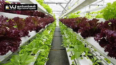 Enhanced Crop and Paint Functionality