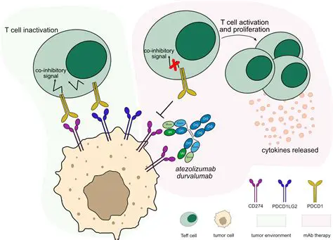 Enhanced Reaction in the Presence of Antibodies