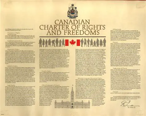 Enjoying the rights and freedoms