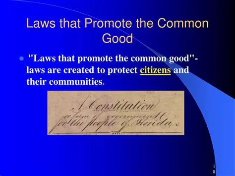 Ensure that laws and policies are designed to promote the common good