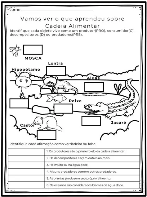 Entender a cadeia alimentar