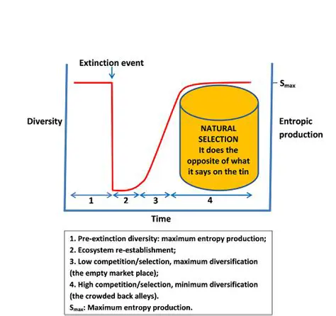 Entropy and Adverse Selection