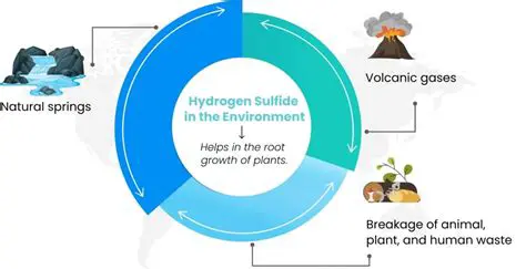 Environmental Consequences of Hydrogen Sulfide