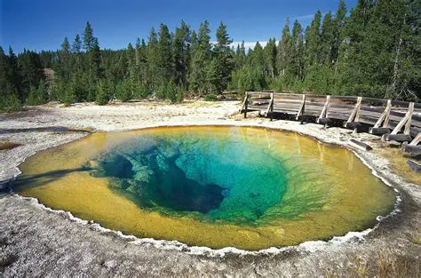 Environmental Hazards in Yellowstone National Park