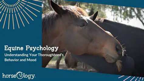 Equine behavior and psychology