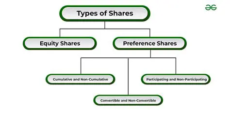 Equity Share Issue Details