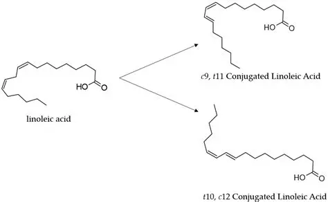 Establish a linoleic acid making factory