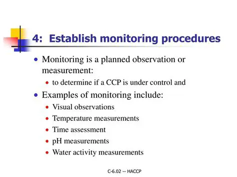 Establish Monitoring Procedures
