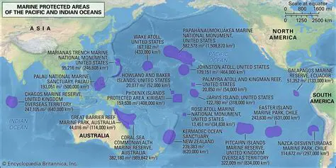 Establish more marine protected areas
