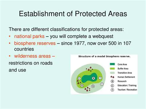 Establishment of protected areas