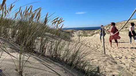 Estland: Ein Leitfaden zur Einwanderung und zum Leben im Baltikum