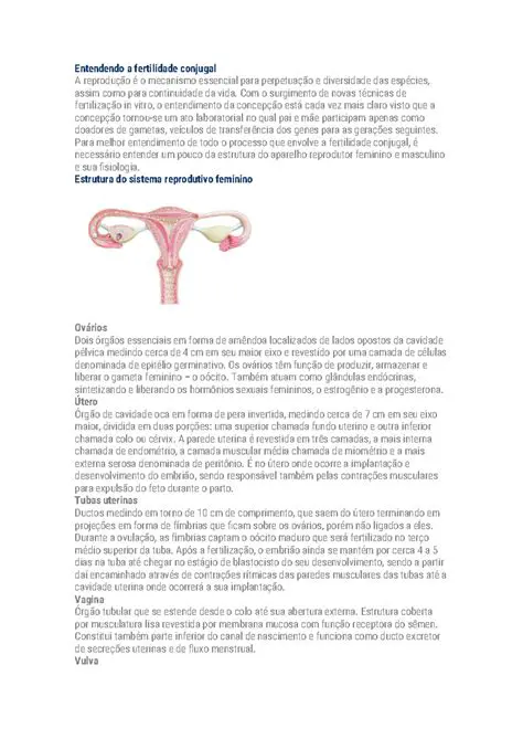 Estrutura do Sistema Conjugal
