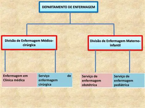 Estrutura e Funcionamento das Escolas de Enfermagem