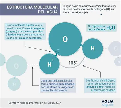 Estudios de estructura molecular