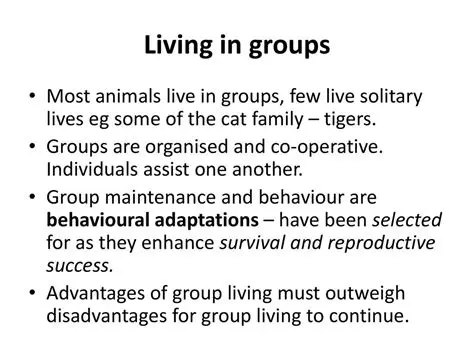 Example of Group Living for Safety