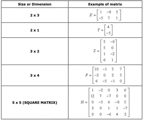 Example of Matrix Dimensions