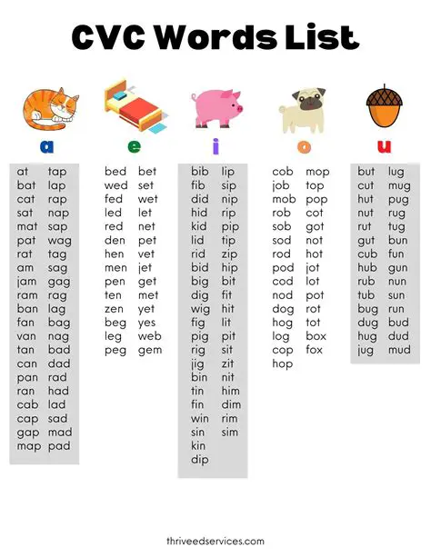 Examples of CVC Pattern Words