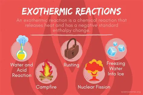 Examples of Exothermic Reactions