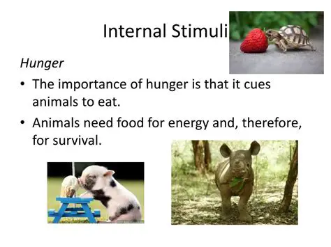Examples of Internal Stimuli
