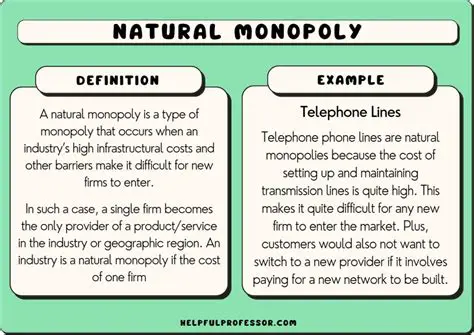 Examples of Natural Monopolies