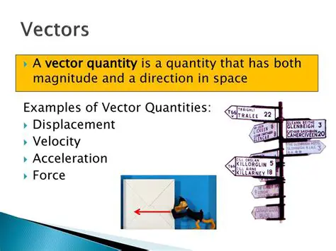 Examples of Vector Quantities