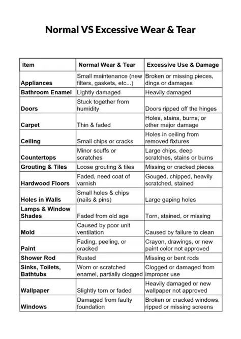 Excessive wear and tear fees