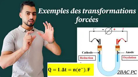 Exemples de Transformations