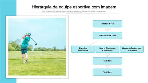 Exemplo de Hierarquia Formal em Equipes Esportivas