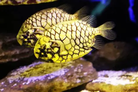 Exemplos de animais com escamas