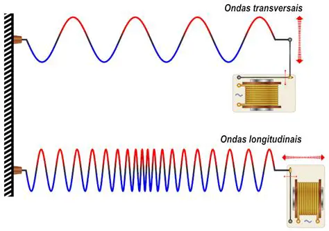 Exemplos de ondas longitudinais