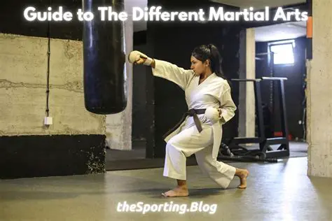 Experience the Future of Martial Arts Instruction