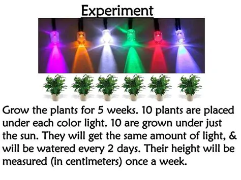 Experiment with Different Units