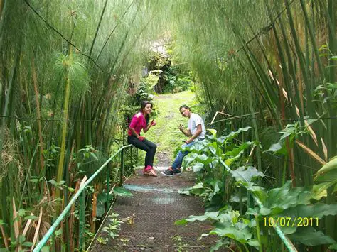 Explorando Panamá: Un Paraíso Tropical de Historia y Modernidad
