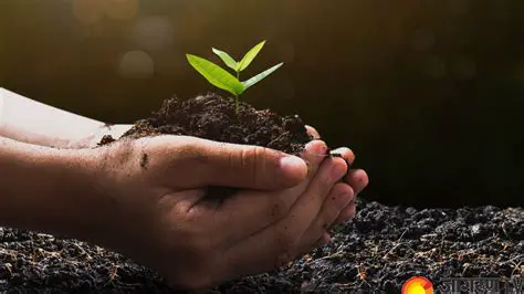 Unveiling 39320: Exploring the Significance and Stories Behind This Number