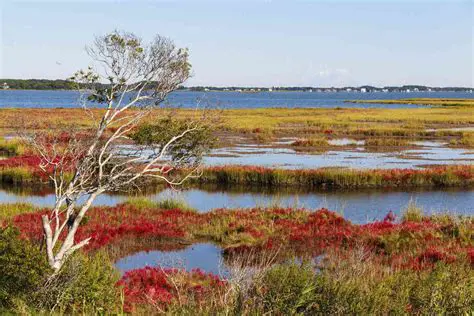 Exploring the Hidden Eastern Shore