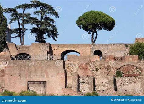 Exploring the Ruins of the Circus