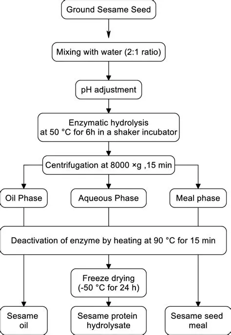 Extraction and Purification of Rubber Seed Oil