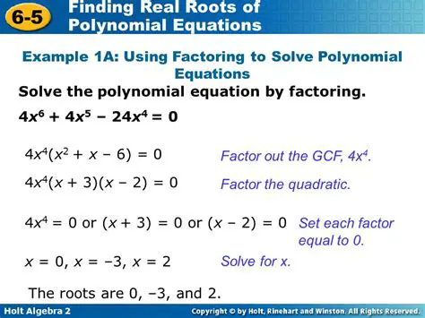 Factorization of the polynomial equation