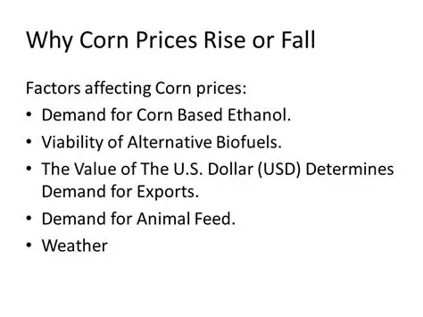 Factors Affecting Corn Prices