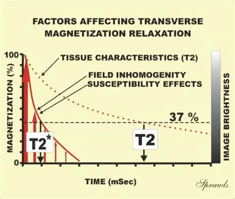 Factors Affecting Magnetic Relaxation