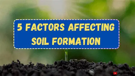 Factors Affecting Soil Erosion and Formation