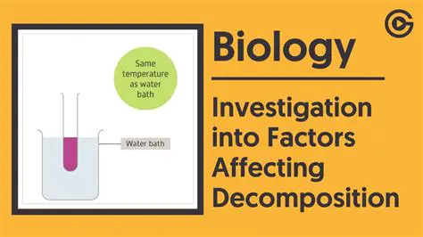 Factors Affecting the Decomposition Reaction