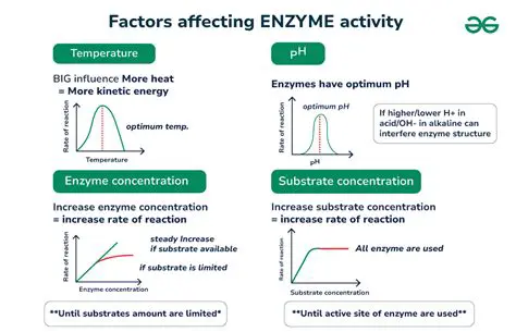 Factors Affecting the Effectiveness of PKH