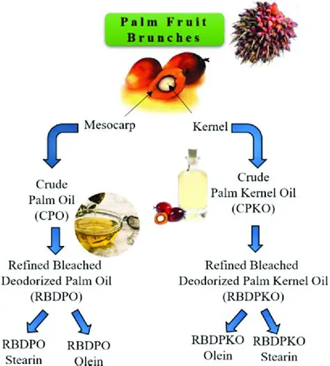 Factors Affecting the Price of Palm Oil Fresh Fruit Bunches