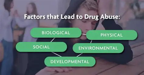 Factors Contributing to Drug Abuse