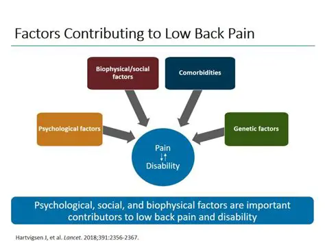 Factors Contributing to Low Oil Loss