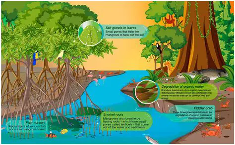 Factors Contributing to Mangrove Forest Loss