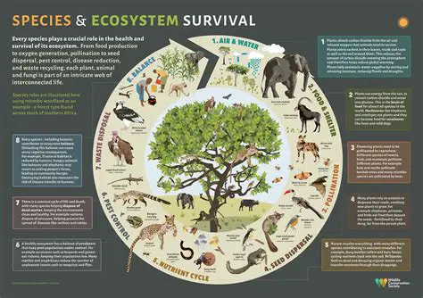 Factors Contributing to Species Diversity