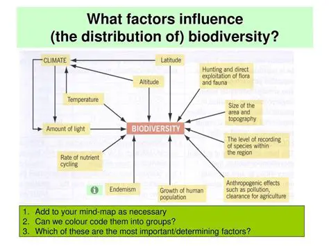 Factors Influencing the Distribution